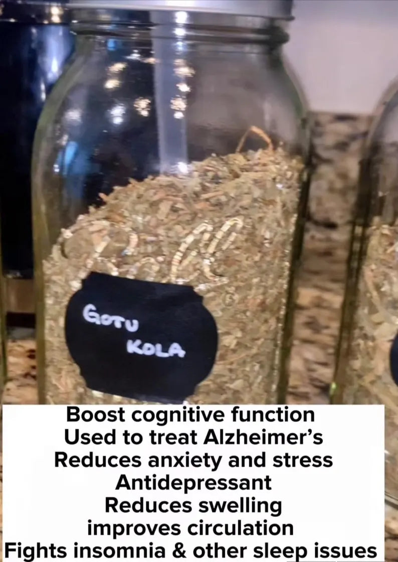 FOCUS BOOSTING WELLNESS Blend