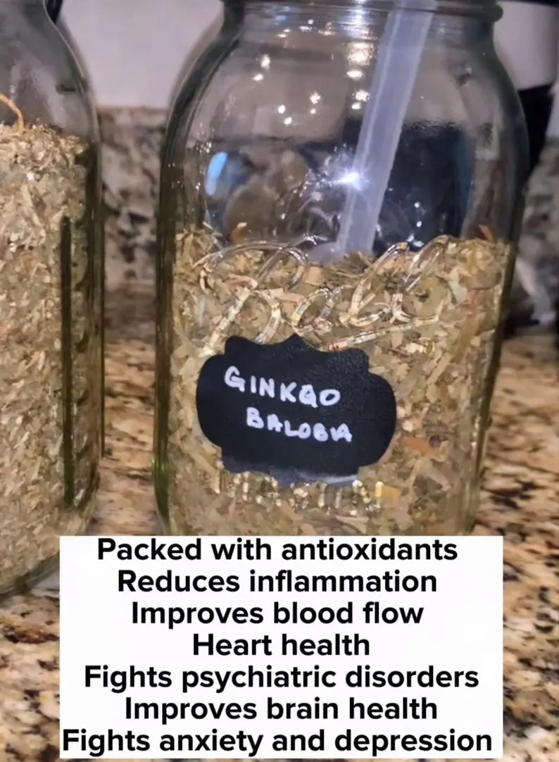 FOCUS BOOSTING WELLNESS Blend